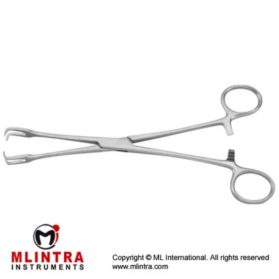 Museux Tonsil Grasping Forcep Stainless Steel, 20 cm - 8" 